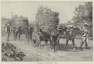 Transport de produits agricoles au Chili